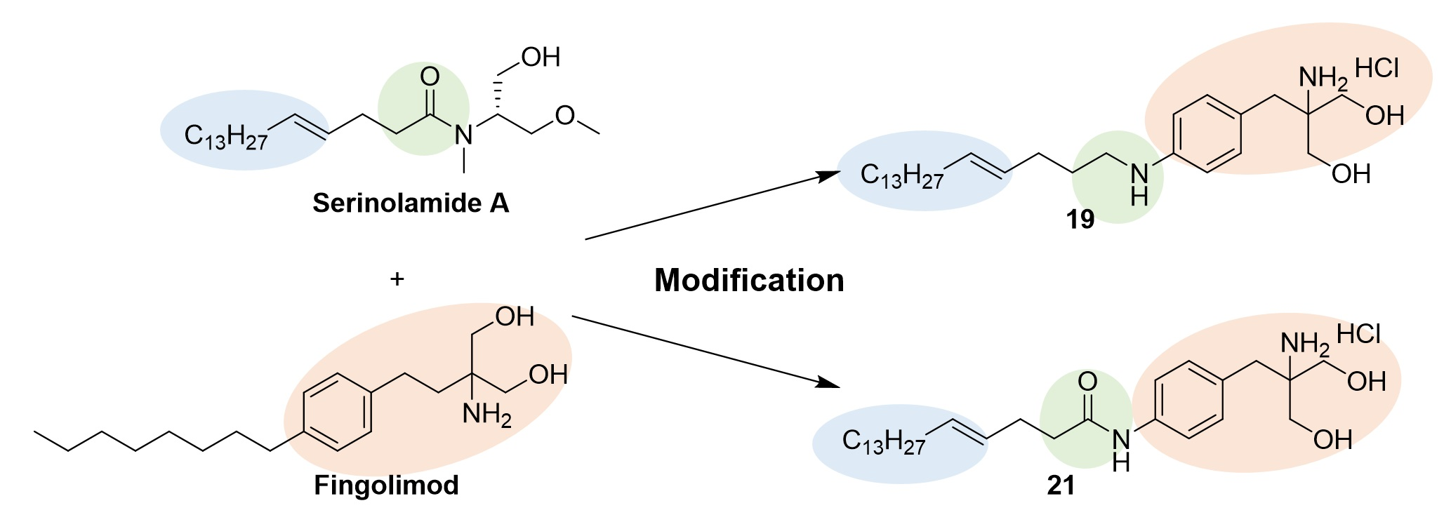Molecules | Free Full-Text | Synthesis and Evaluation of 