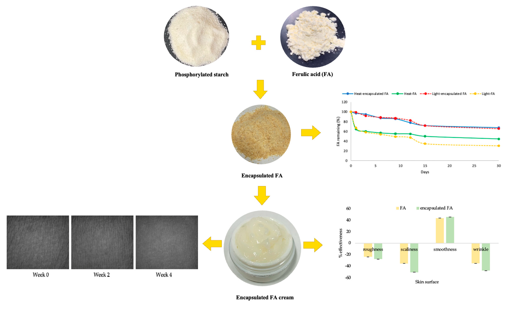 Anti-aging of Pure Ferulic Acid Powder Anti-aging of Pure Ferulic Acid Powder