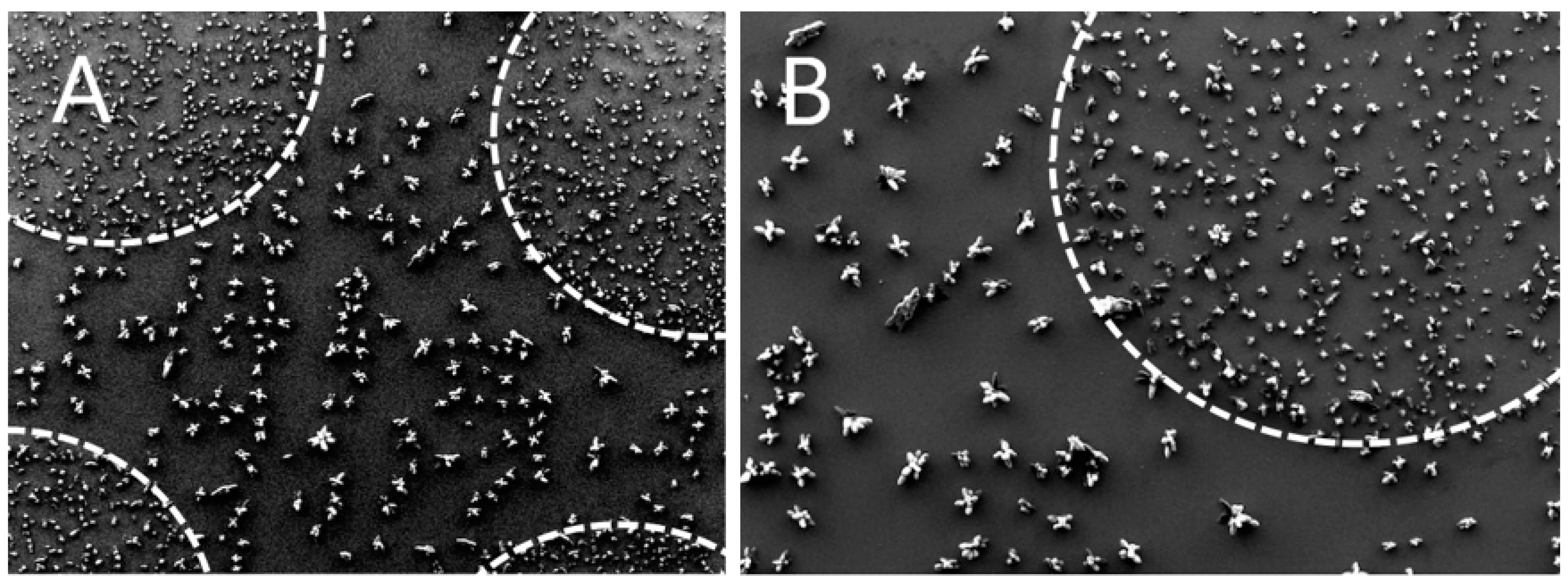 Molecules | Free Full-Text | Cluster-Assembled Nanoporous Super-Hydrophilic  Smart Surfaces for On-Target Capturing and Processing of Biological Samples  for Multi-Dimensional MALDI-MS