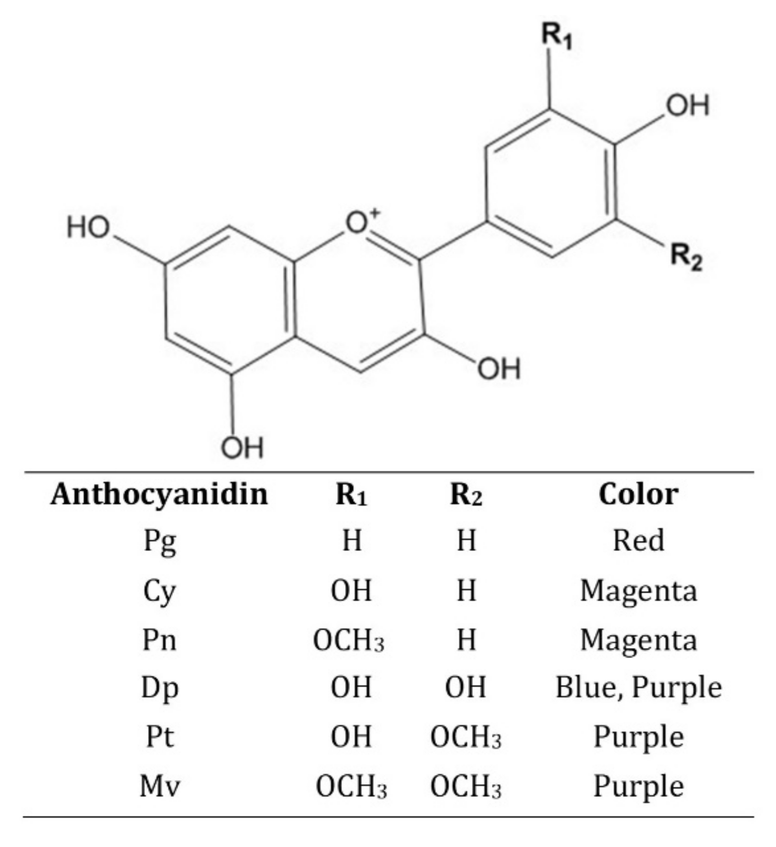 Anthocyanins As Key Phytochemicals Acting For The Prevention Of Anthocyanins As Key Phytochemicals Acting For The Prevention Of