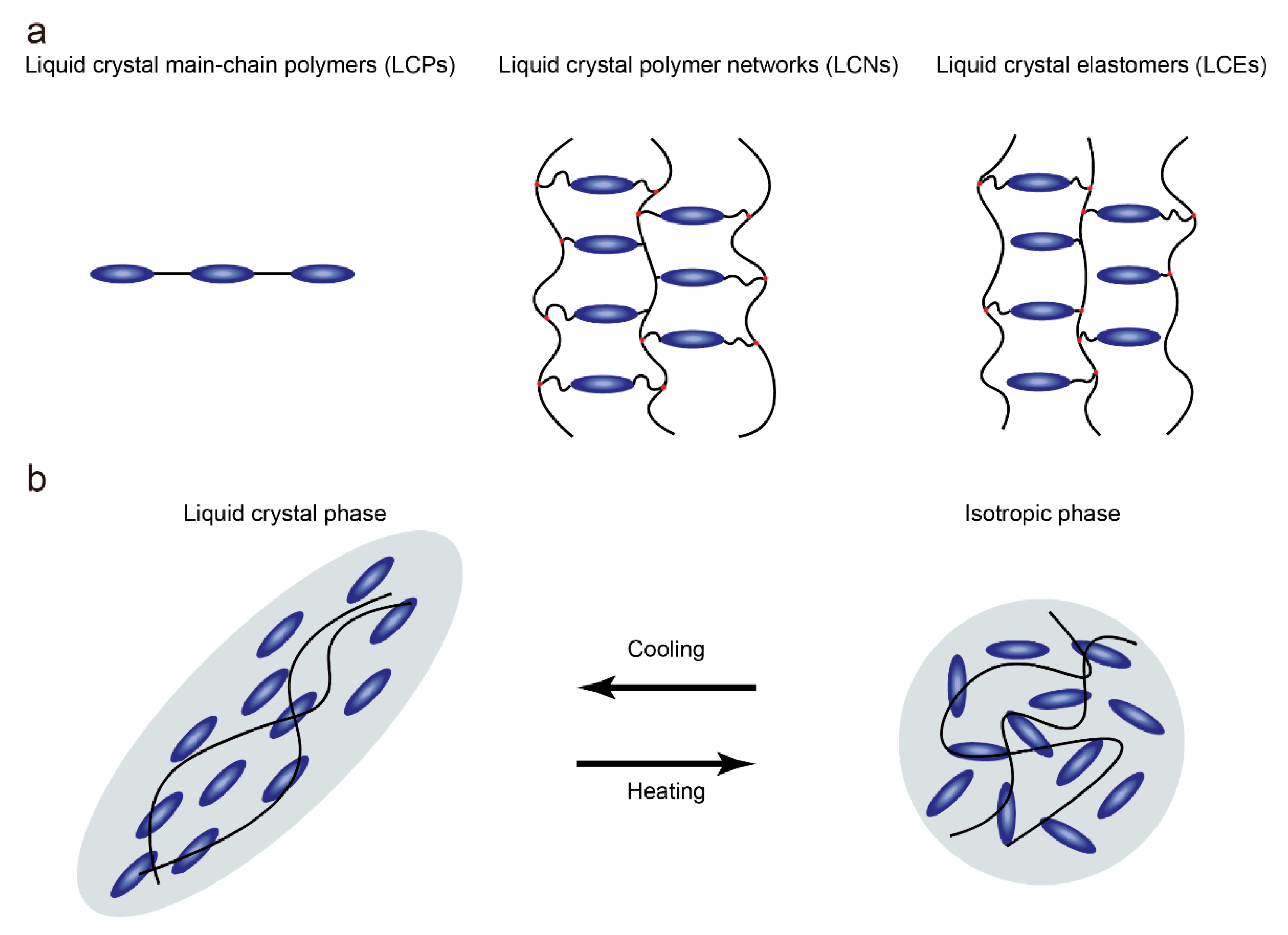 Molecules | Free Full-Text | Photothermal-Driven Liquid Crystal ...