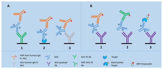 molecules-free-full-text-current-analytical-strategies-for-antibody