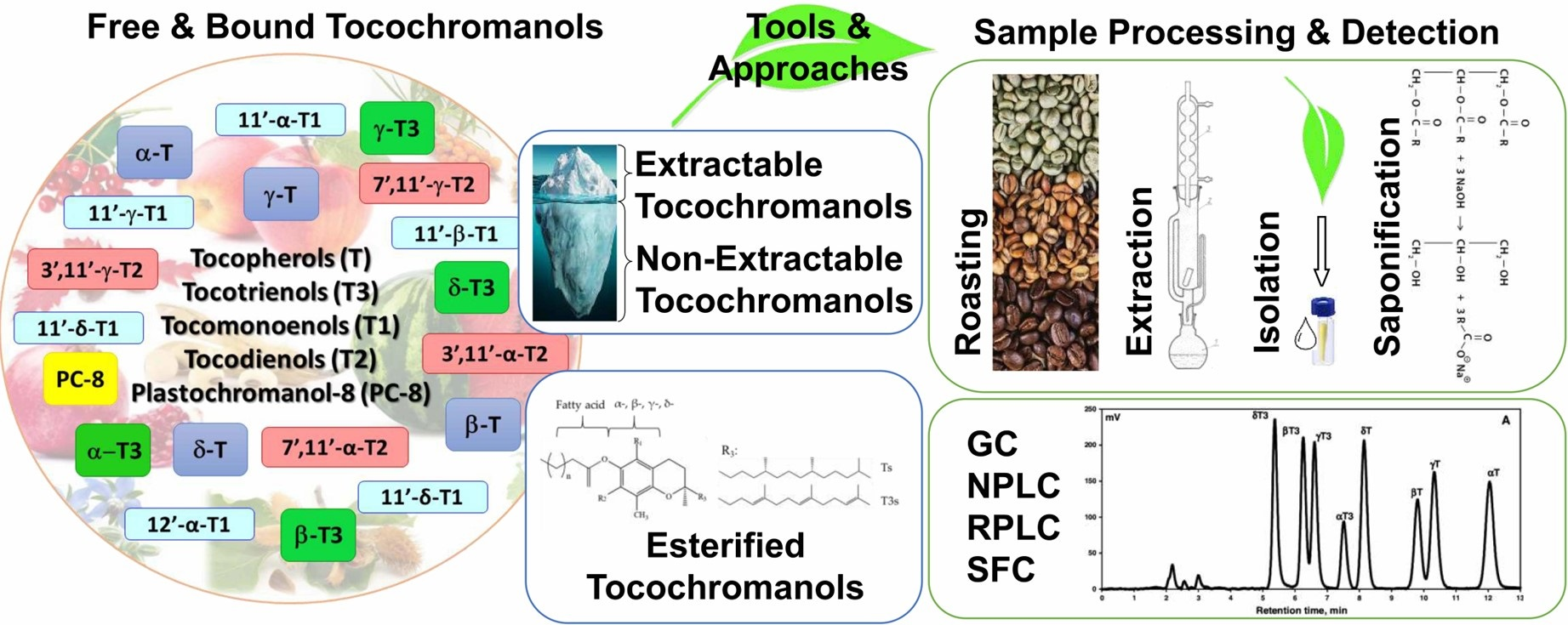 Molecules | Free Full-Text | Free and Esterified Tocopherols, Tocotrienols  and Other Extractable and Non-Extractable Tocochromanol-Related Molecules:  Compendium of Knowledge, Future Perspectives and Recommendations for  Chromatographic Techniques, Tools