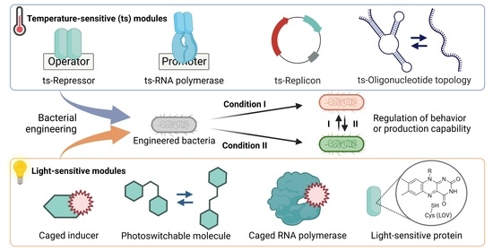 Molecules Full-Text | Recent Synthetic Approaches for Temperature- and Light-Controlled Gene Expression in Bacterial Hosts