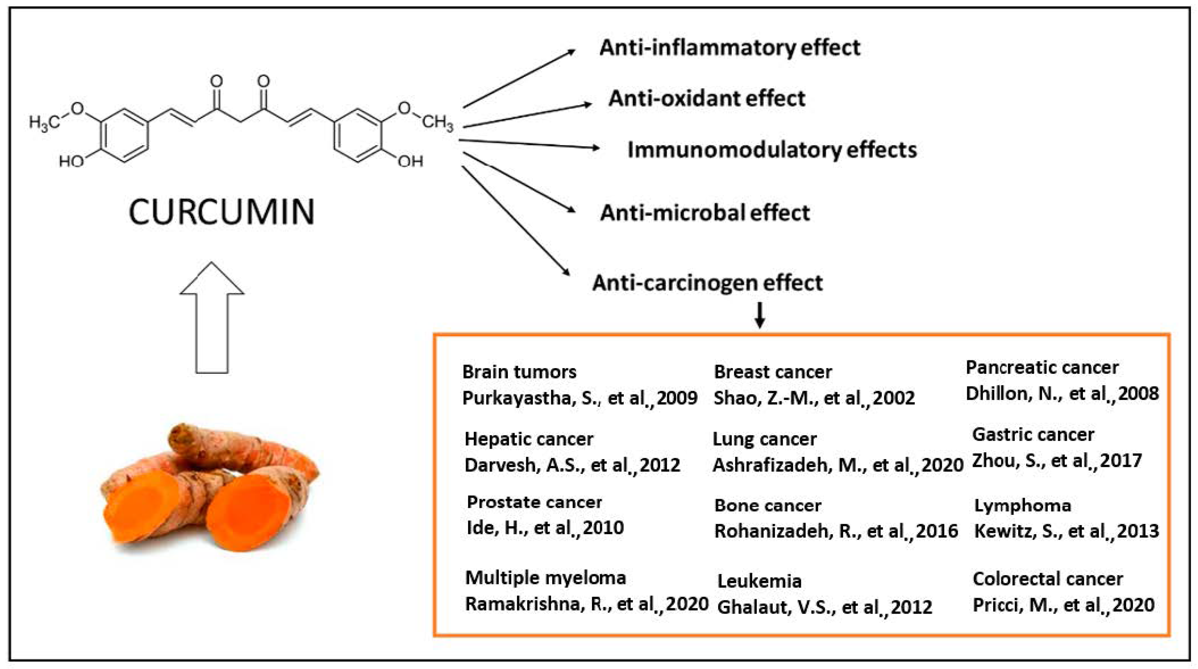 Liposomal curcumin supplier yangge biotech Liposomal curcumin supplier yangge biotech