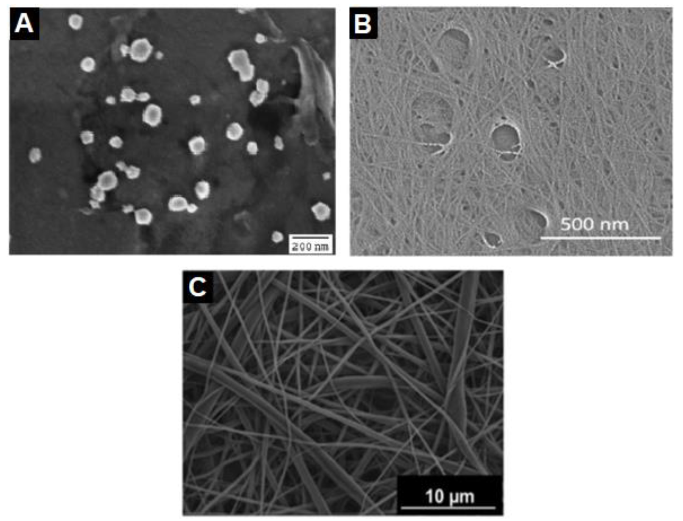 Surface charge effect on Pickering encapsulation with ionic cellulose  nanocrystals