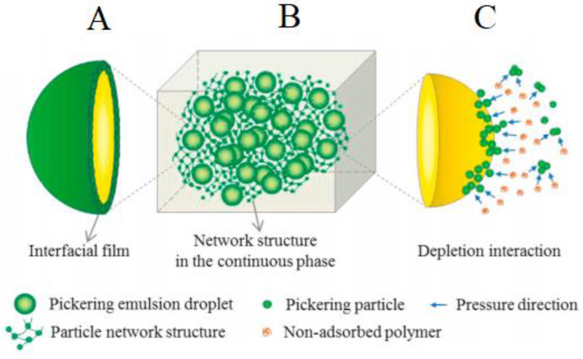 Surface charge effect on Pickering encapsulation with ionic cellulose  nanocrystals