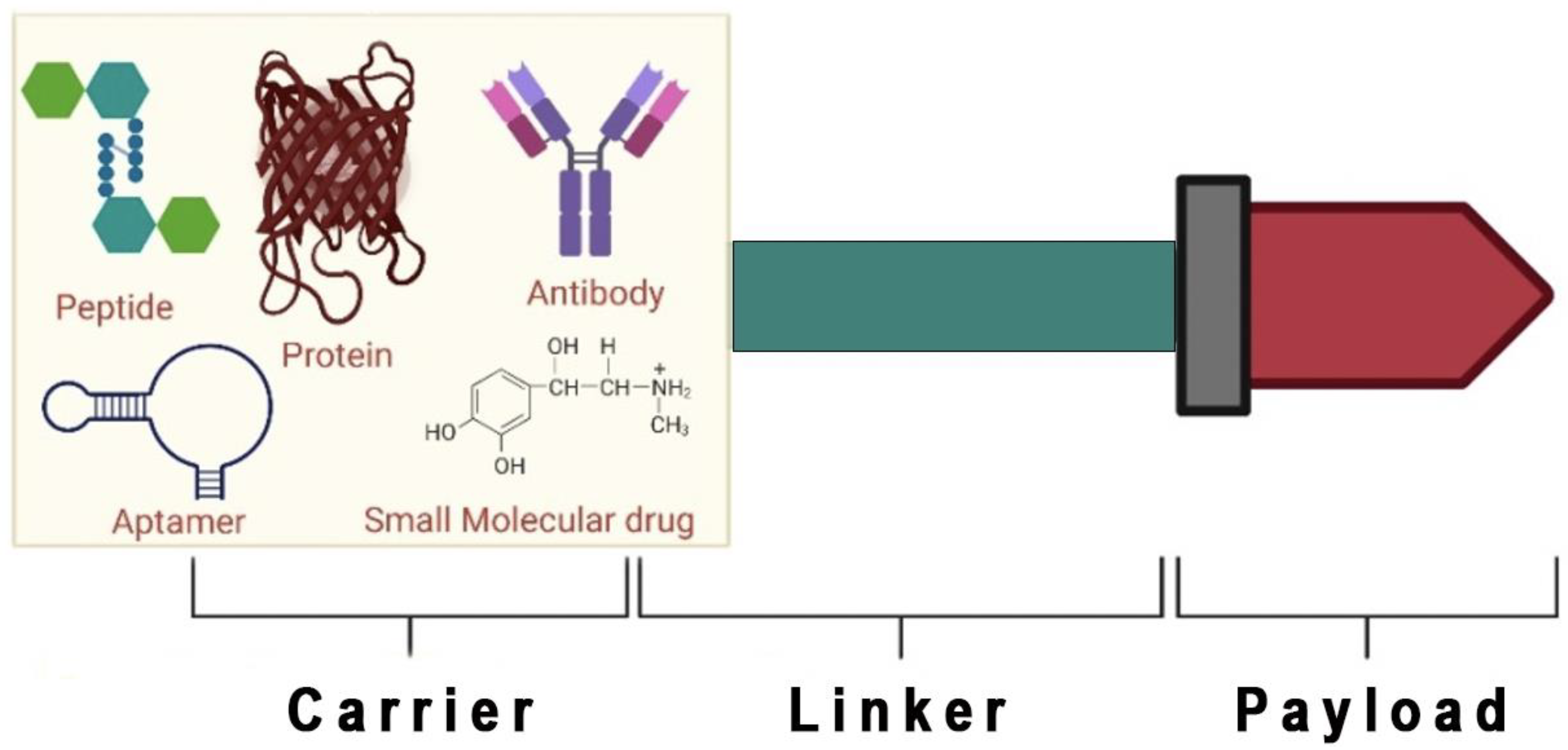 Molecules | Free Full-Text | Peptide-Drug Conjugates: A New Hope 