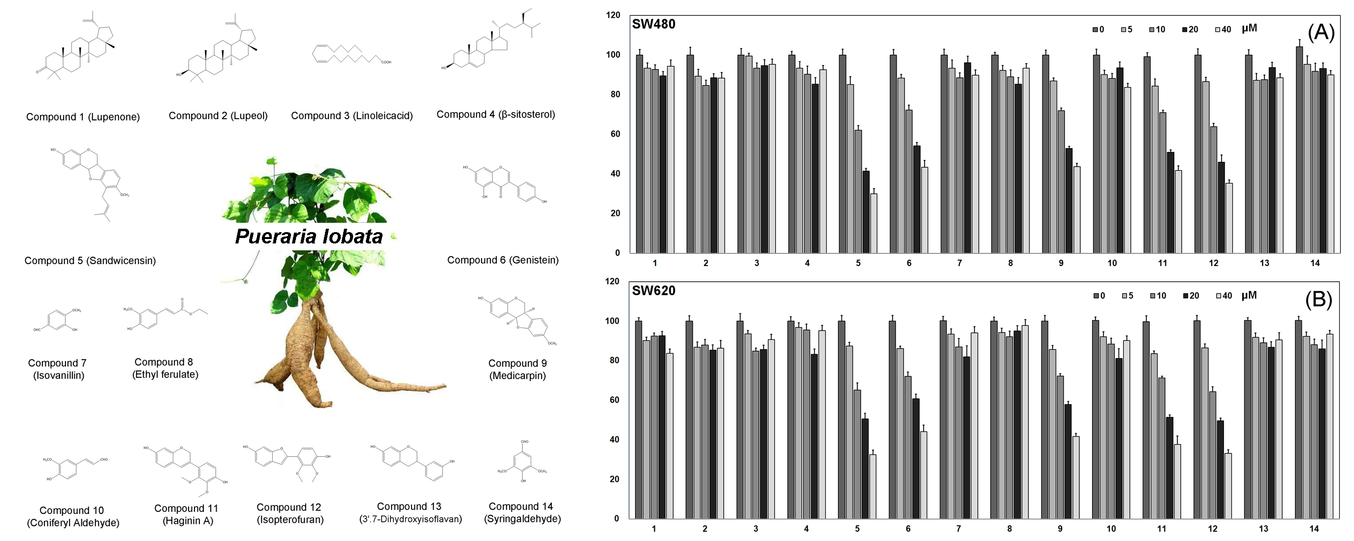 Molecules Free Full Text Studies on Chemical Composition of