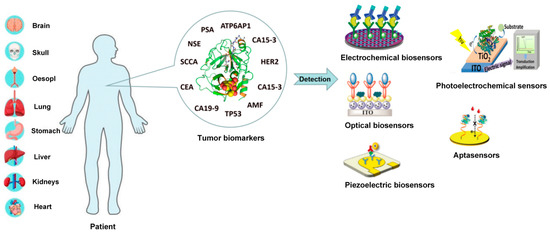 Molecules | Free Full-Text | Recent Progress In Biosensors For ...