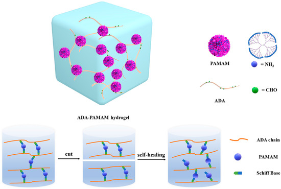 The Design of Rapid Self-Healing Alginate Hydrogel with Dendritic ...