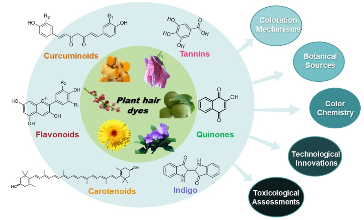 Molecules | Free Full-Text | Recent Advancements in Natural Plant Colorants  Used for Hair Dye Applications: A Review