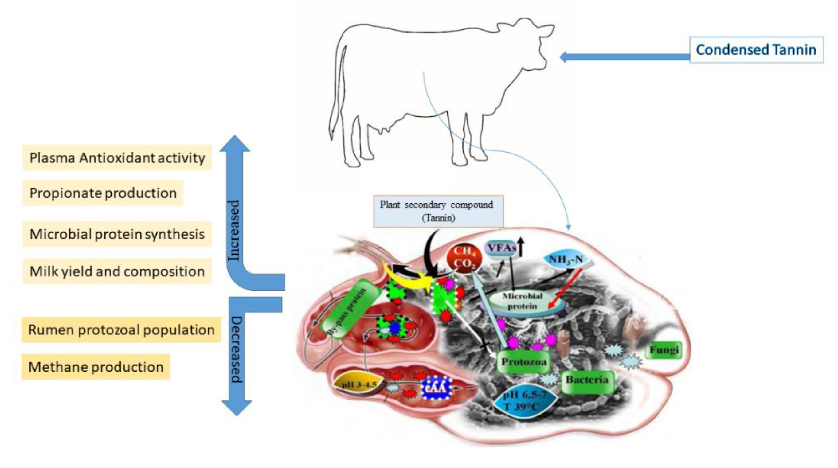 Molecules | Free Full-Text | Tannin in Ruminant Nutrition: Review