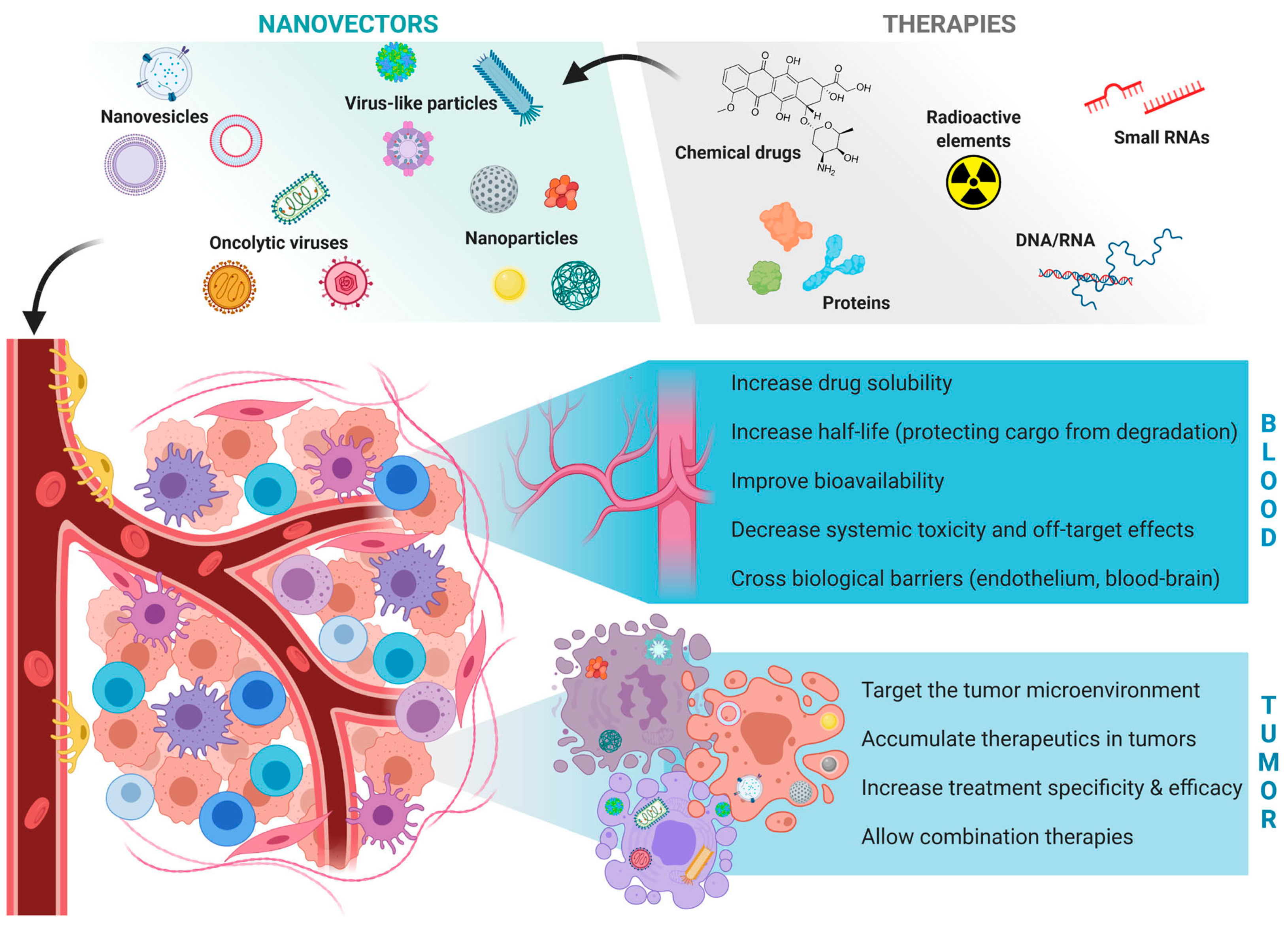 Smart nanoparticles for cancer therapy  Signal Transduction and Targeted  Therapy