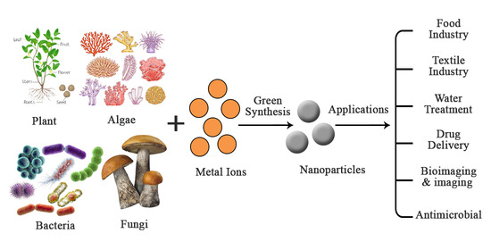 Fungi to save the world”  Mechanical and Aerospace Engineering