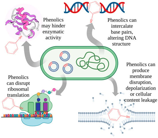 molecules-free-full-text-future-antimicrobials-natural-and