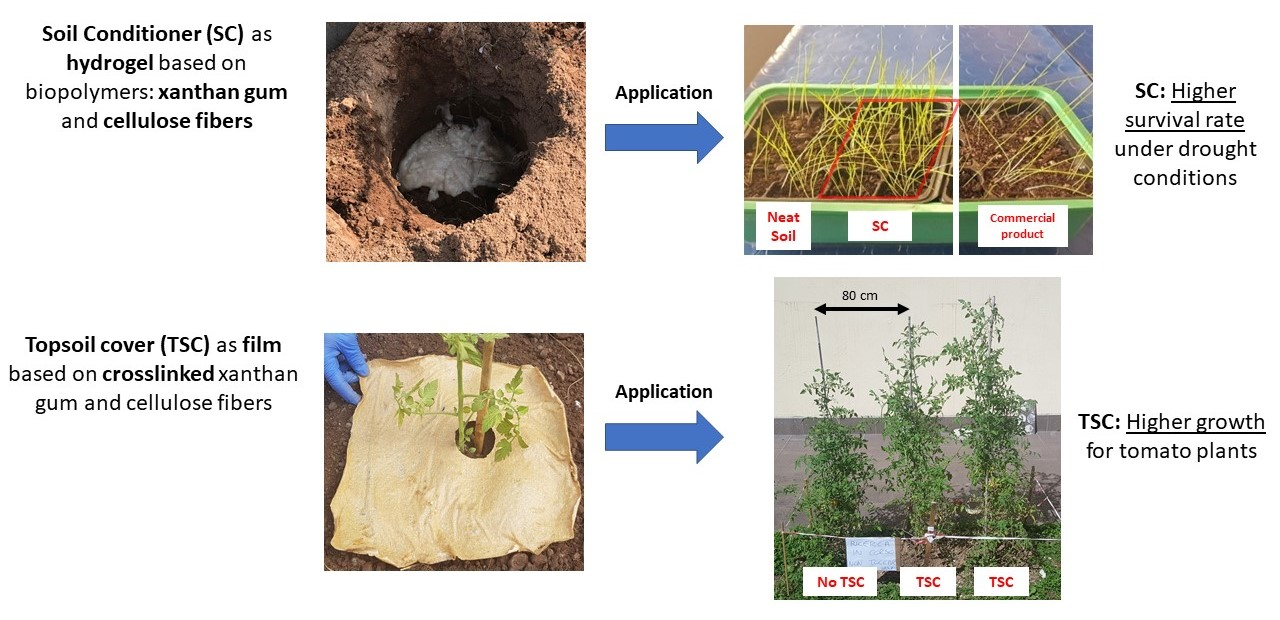 Molecules | Free Full-Text | Development of a Xanthan Gum Based  Superabsorbent and Water Retaining Composites for Agricultural and Forestry  Applications