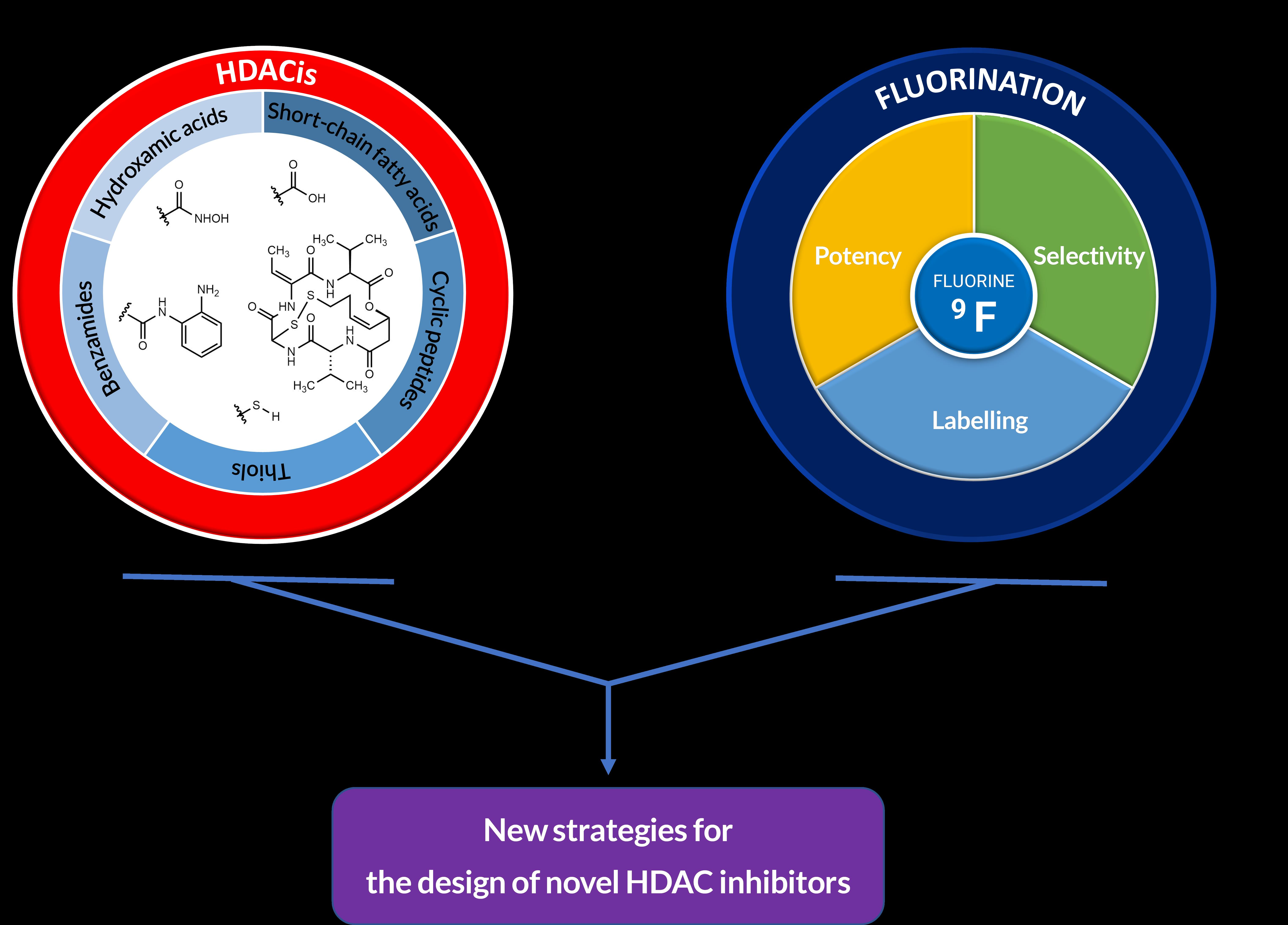 Novel Sustainable-by-Design HDAC Inhibitors for the Treatment of  Alzheimer's Disease