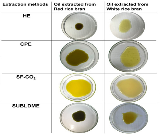 Studies on Particle Size Distribution of Rice Bran Wax in the Presence of  Gum and Oil in Hexane Medium