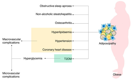 Frontiers  Exploring the underlying mechanisms of obesity and diabetes and  the potential of Traditional Chinese Medicine: an overview of the literature