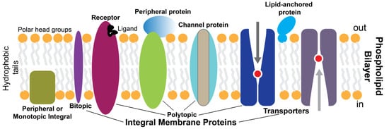 Molecules | Free Full-Text | Aptamers Targeting Membrane Proteins for ...