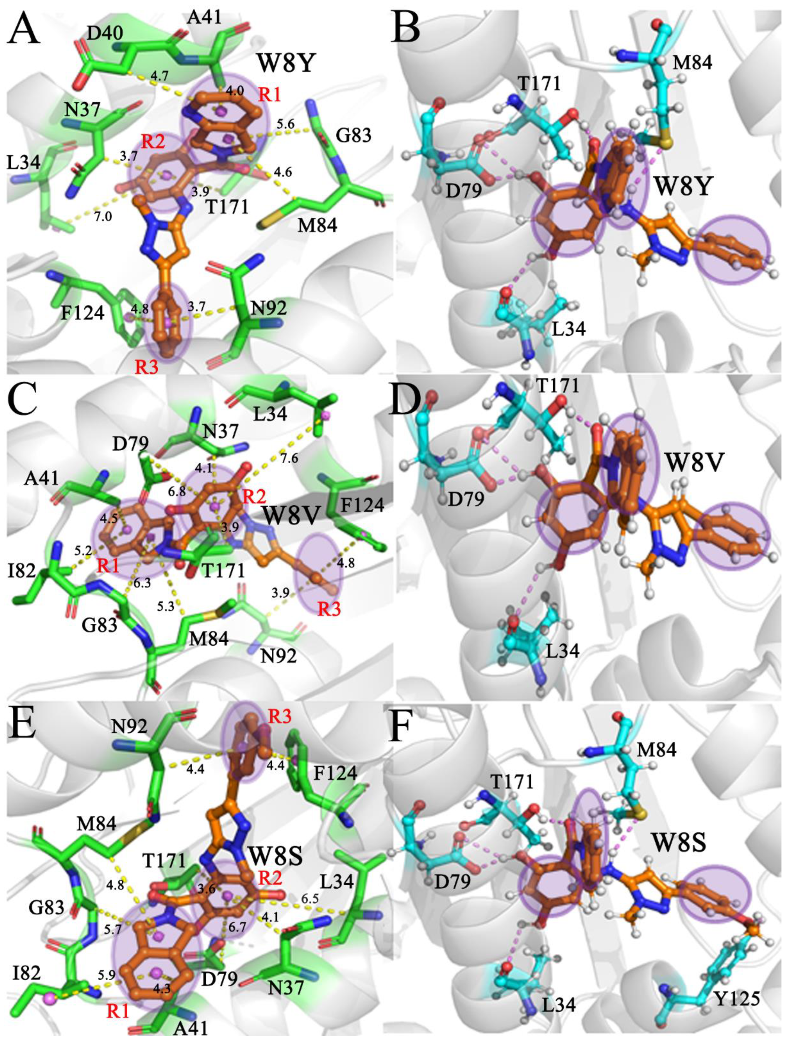 Decoding the Identification Mechanism of an SAM-III Riboswitch on Ligands  through Multiple Independent Gaussian-Accelerated Molecular Dynamics  Simulations