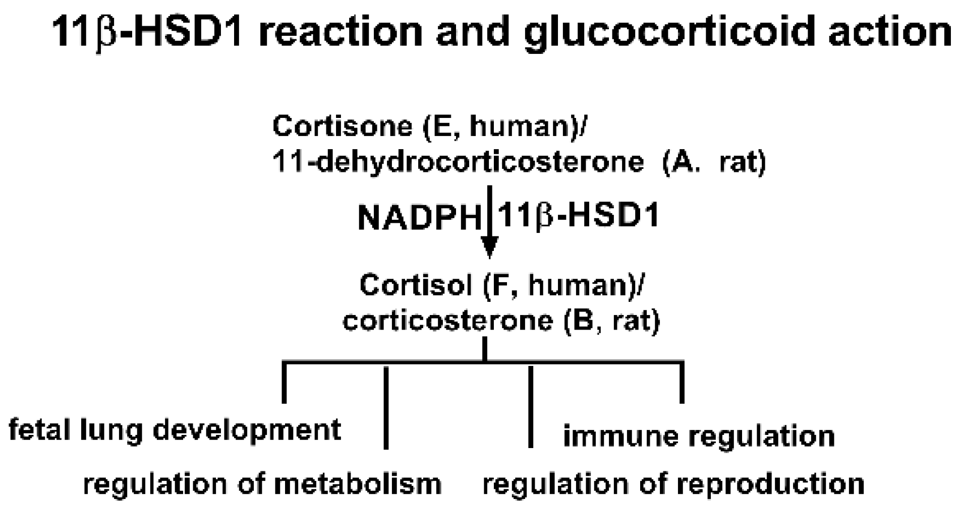 Molecules | Free Full-Text | Bisphenol A Analogues Inhibit Human And ...