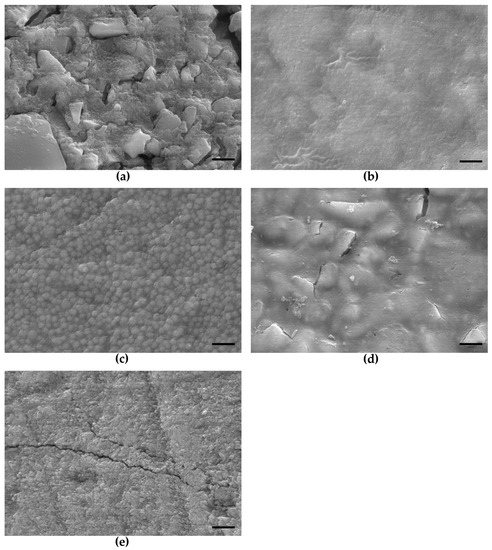 Salivary Pellicle Formed on Dental Composites Evaluated by Mass ...