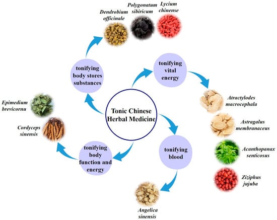 Molecules | Free Full-Text | The Mechanisms of Polysaccharides from ...