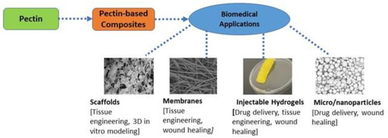 Pectin-GPTMS-Based Biomaterial: toward a Sustainable Bioprinting of 3D  scaffolds for Tissue Engineering Application