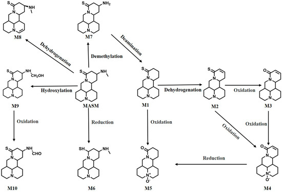 Molecules, Free Full-Text