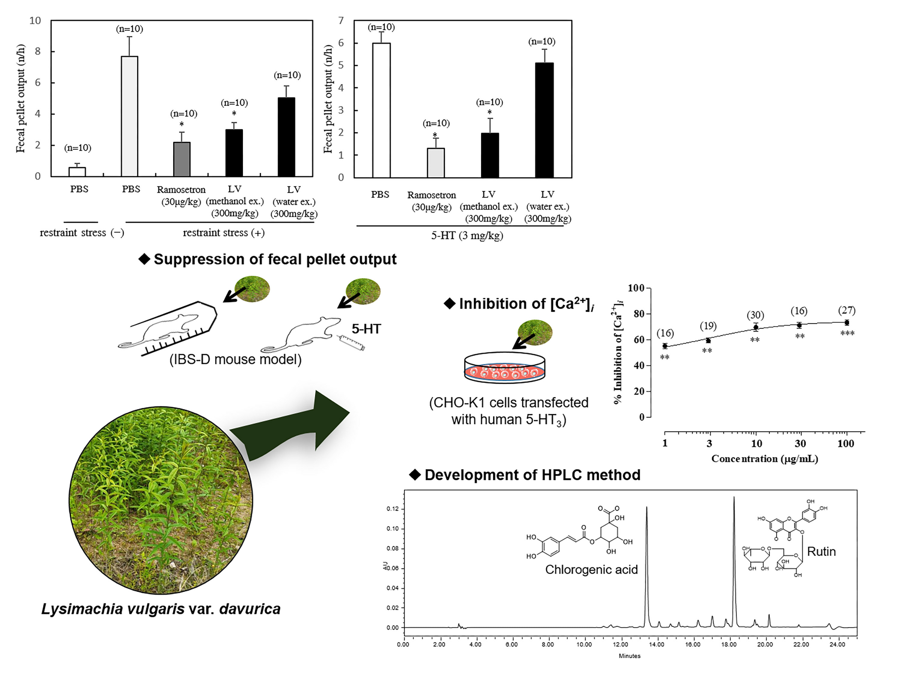 Molecules | Free Full-Text | Development and Validation of a High