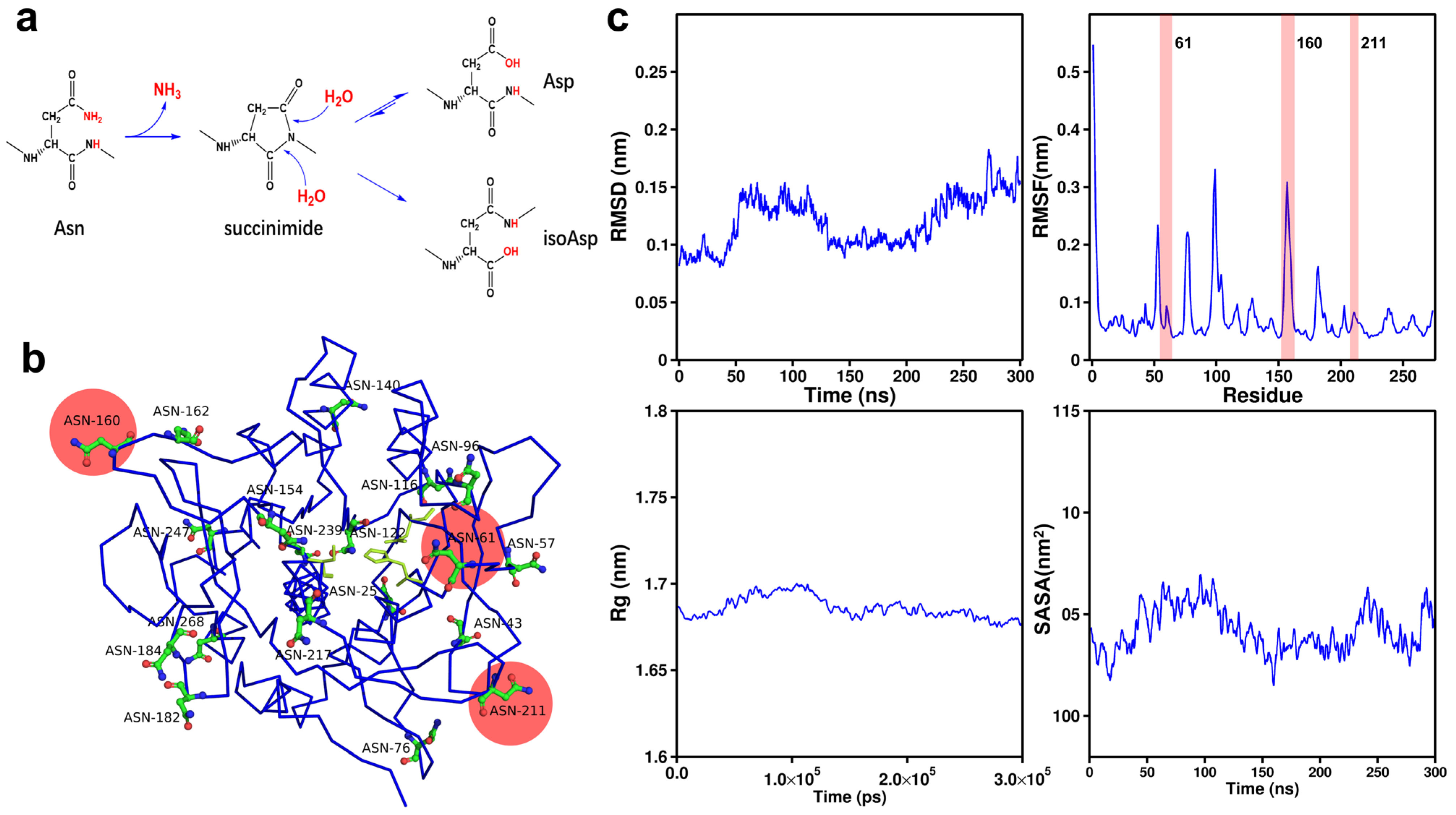 Enhancing the Thermostability of Bacillus licheniformis