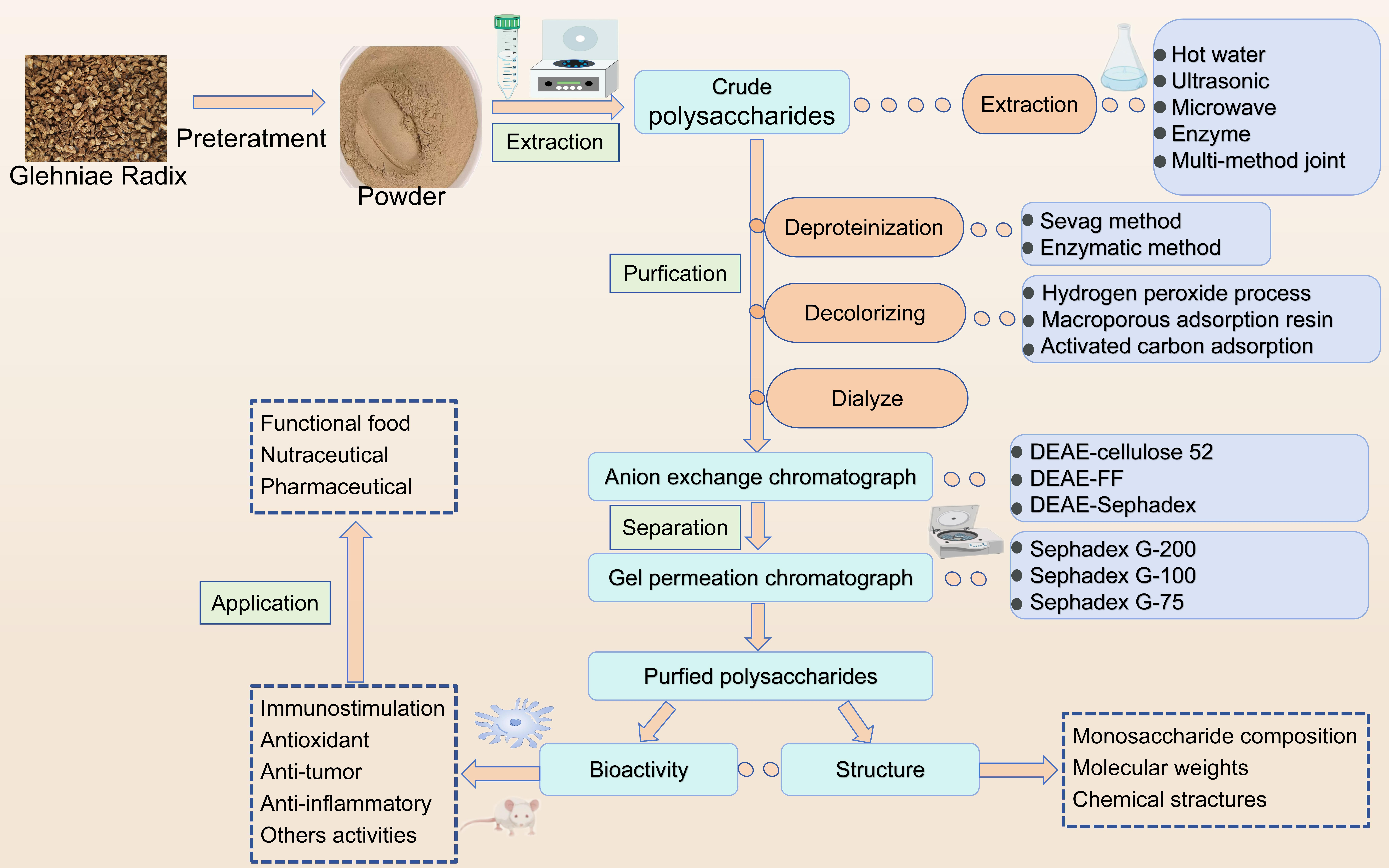 Extraction, Purification, Structure, and Bioactivities of