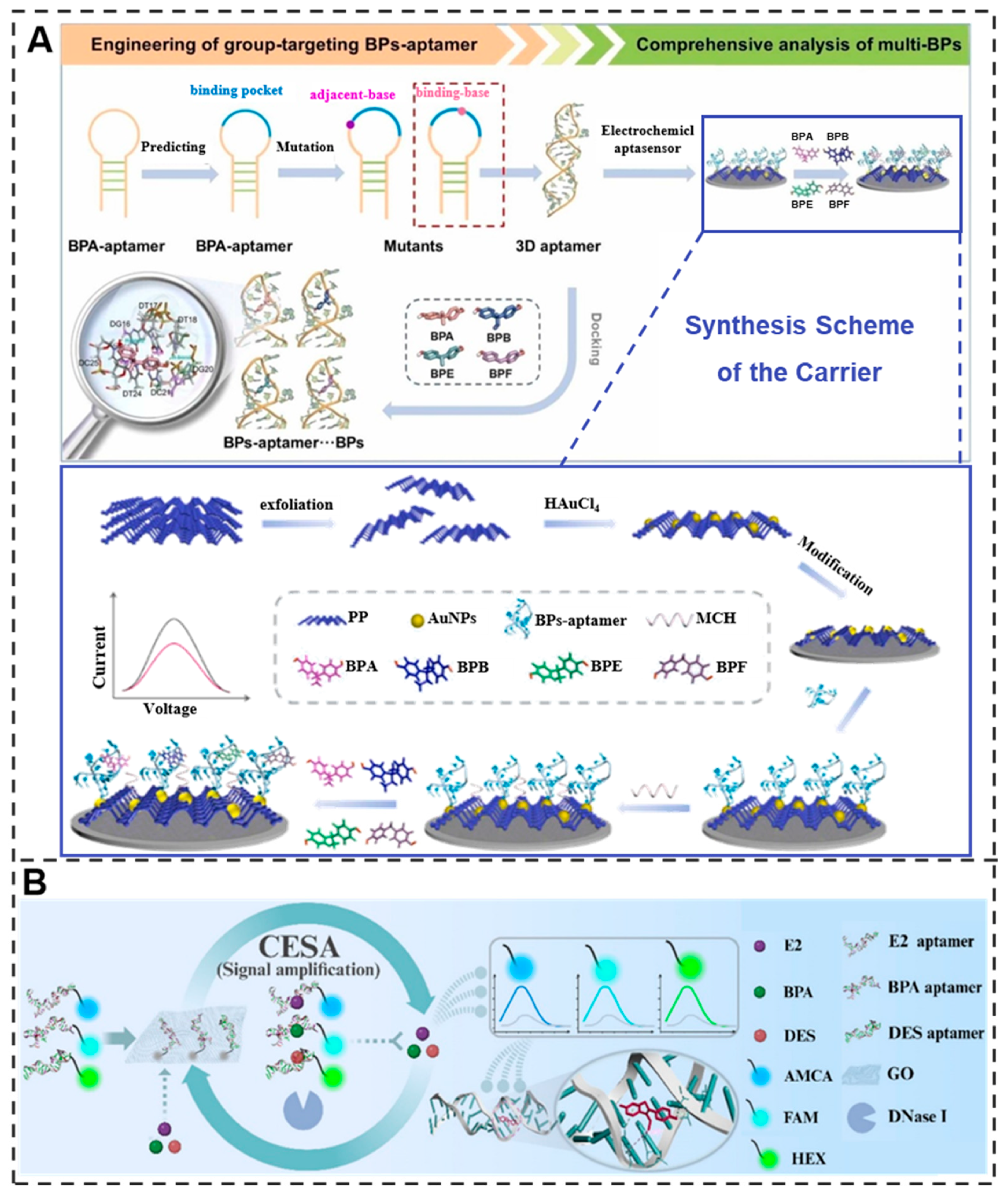 Aptamer-Based Biosensors for Rapid Detection and Early Warning of