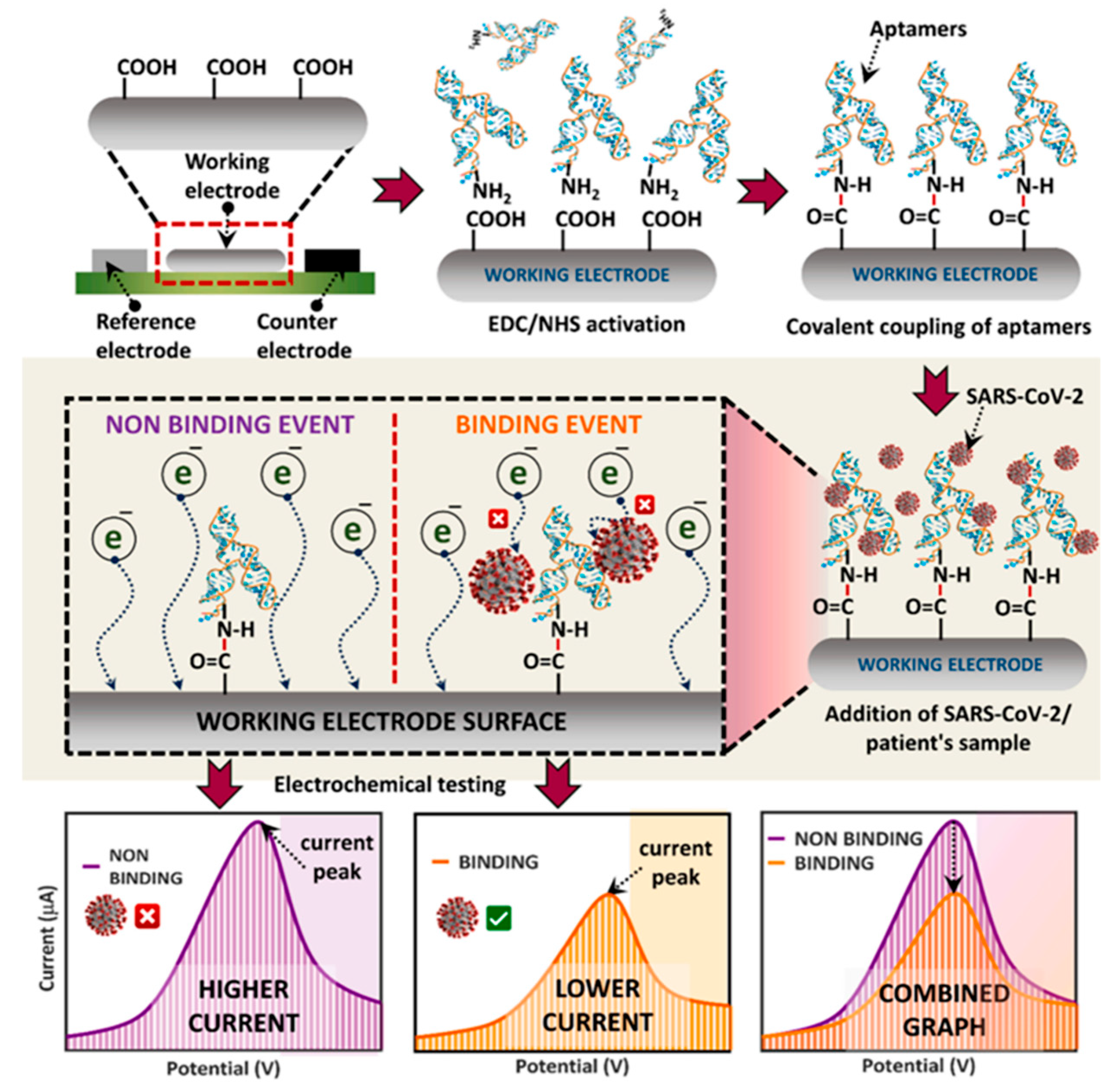 Aptamer-Based Biosensors for Rapid Detection and Early Warning of