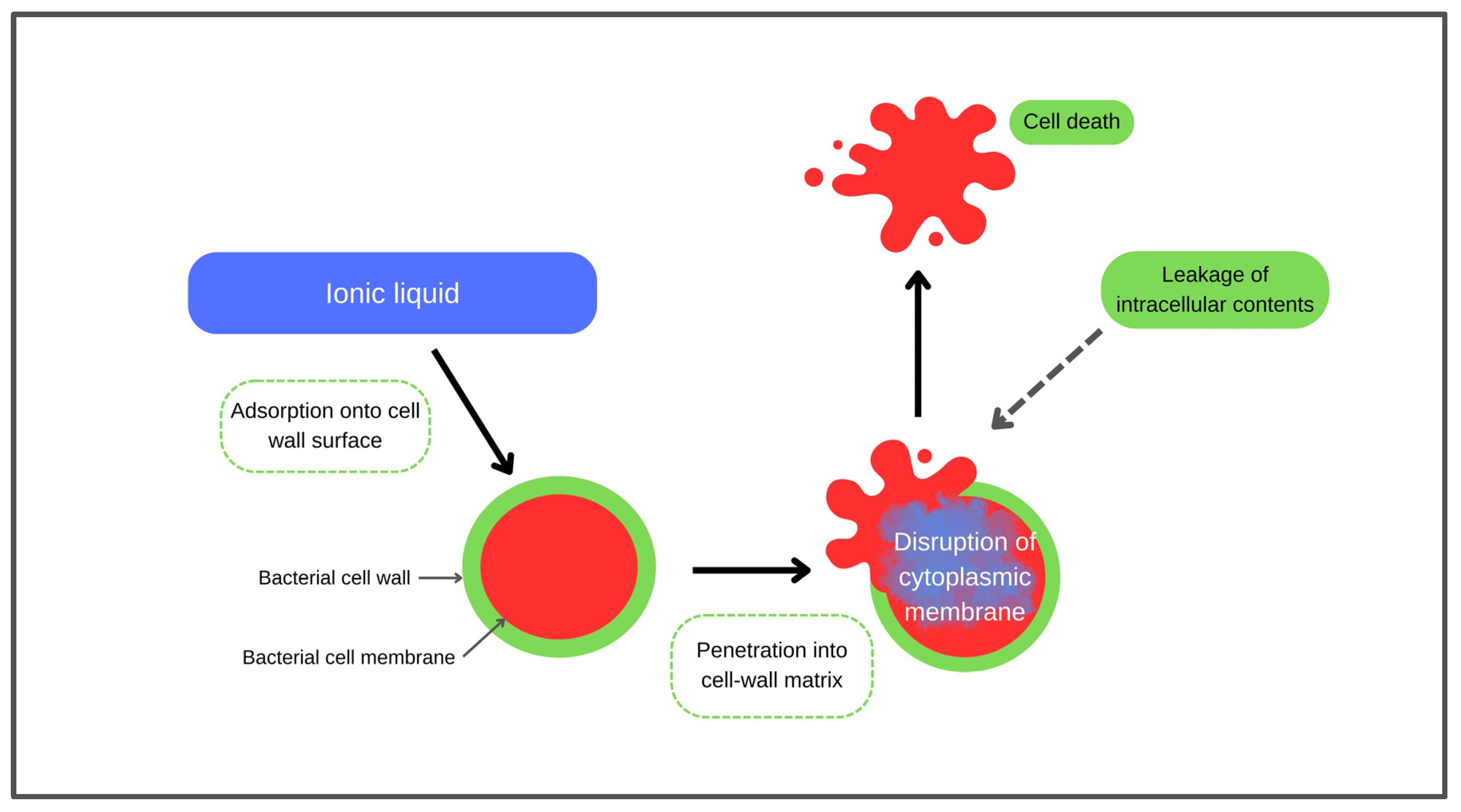 Beyond the Solvent: Engineering Ionic Liquids for Biomedical ...