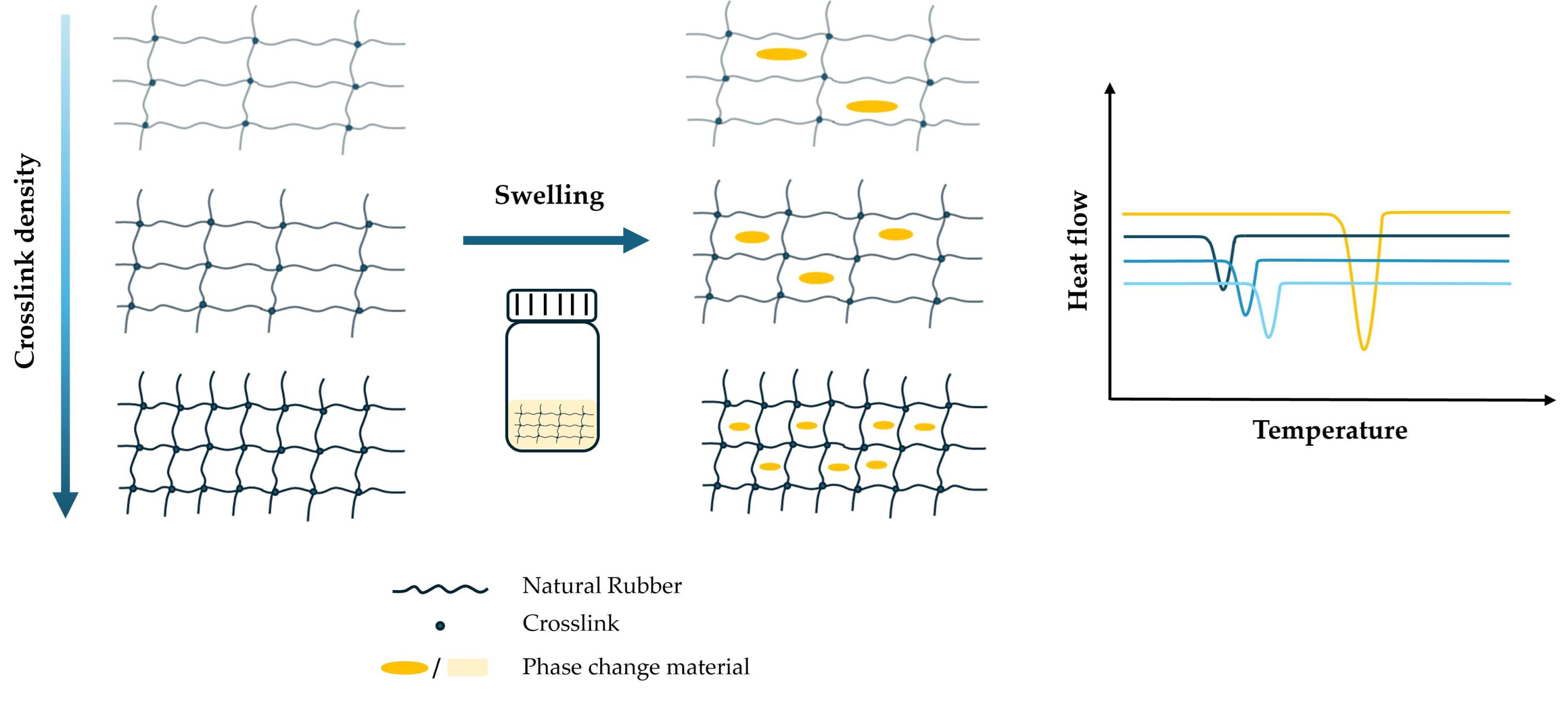 Designing Natural Rubber Shape Stabilized Phase Change Materials ...