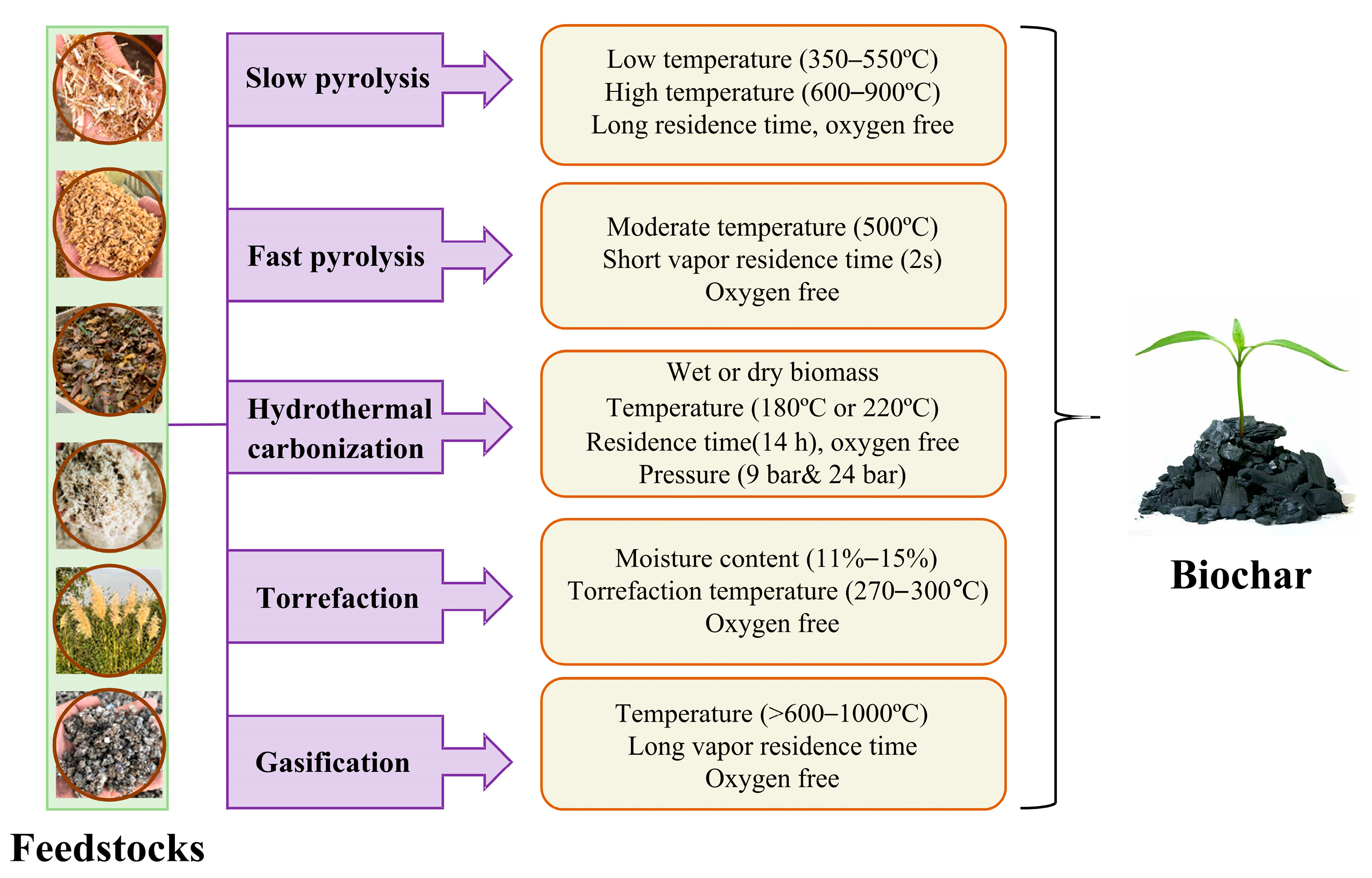 Biochar Innovations for Organic Pollutant Remediation in Contaminated Soils