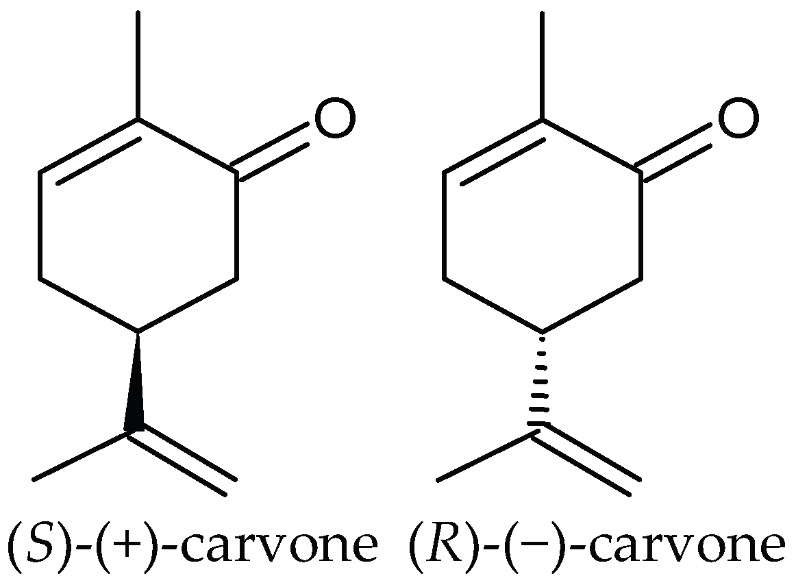 Carvone-Rich Essential Oils and Their Agrobiological Interactions: A Review