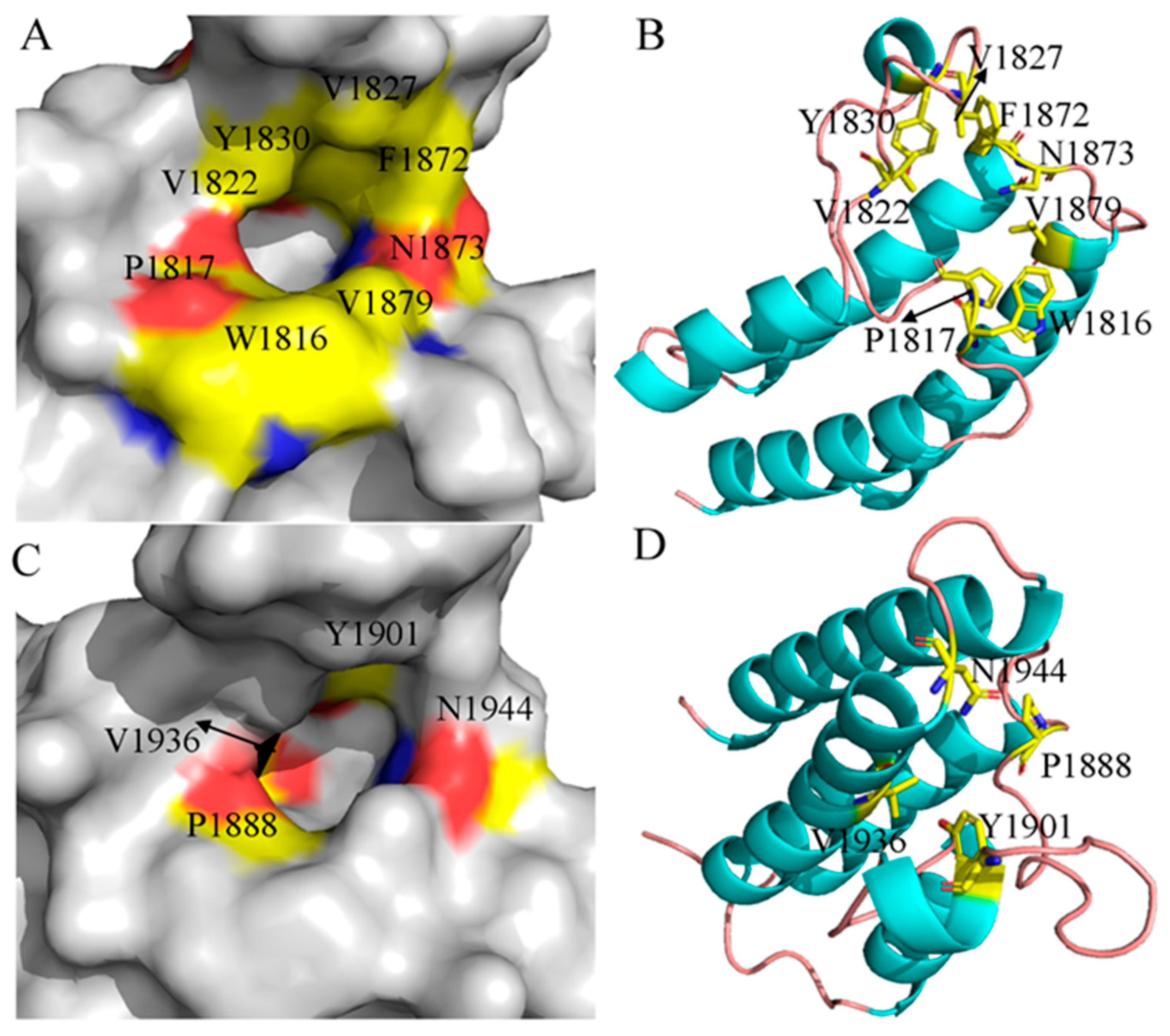 Recent Progress and Prospect in Studying Selective Inhibitors Toward ...