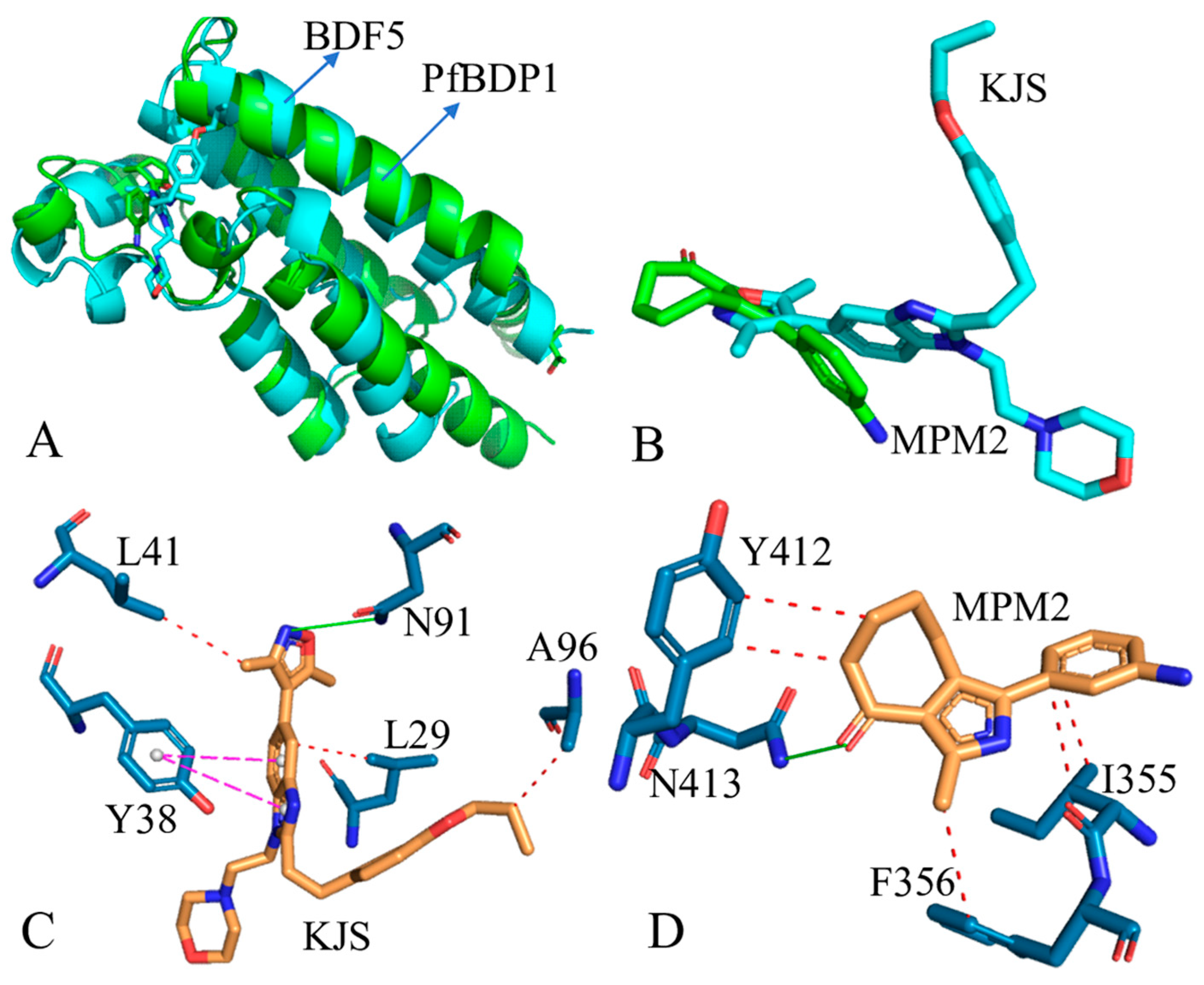 Recent Progress and Prospect in Studying Selective Inhibitors Toward ...