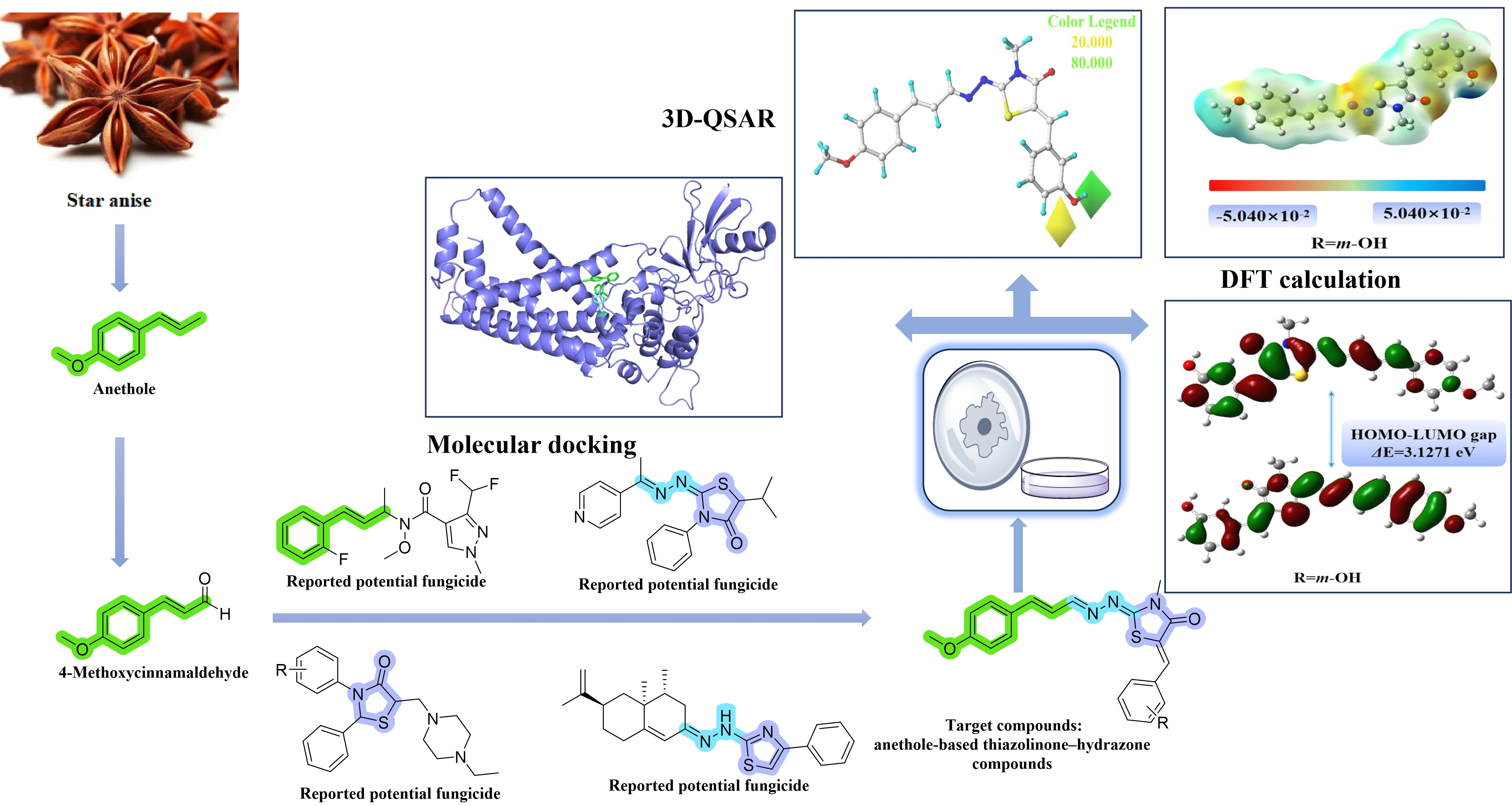 Synthesis, Antifungal Activity, 3D-QSAR, and Molecular Docking Study of ...