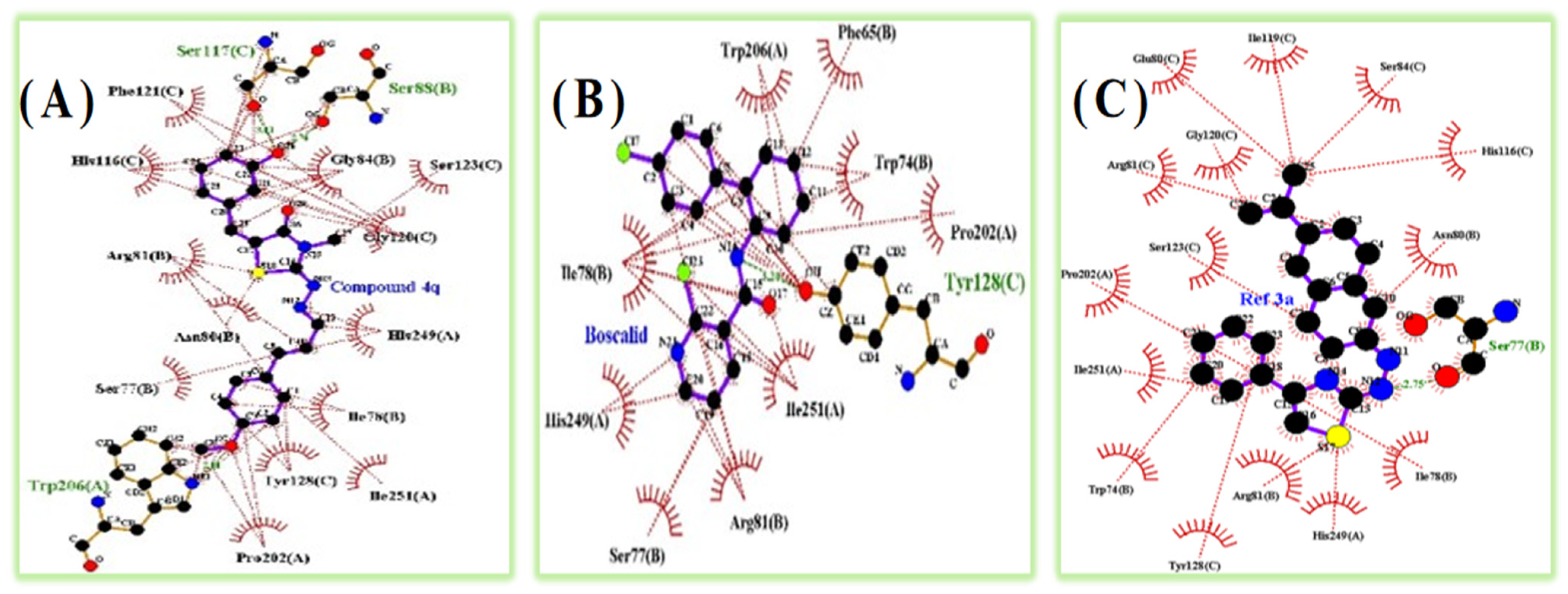Synthesis, Antifungal Activity, 3D-QSAR, and Molecular Docking Study of ...