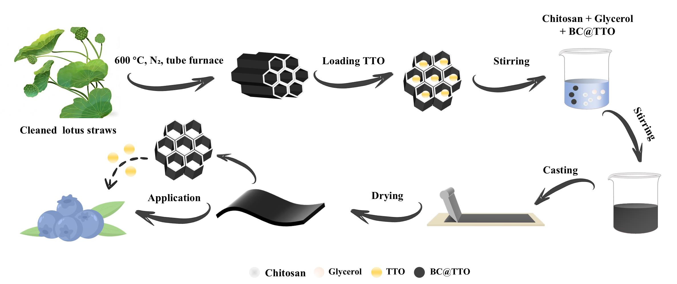 Tea Biochar Biochar-Stabilized Tea Tree Oil in Chitosan Membranes for Sustainable ...