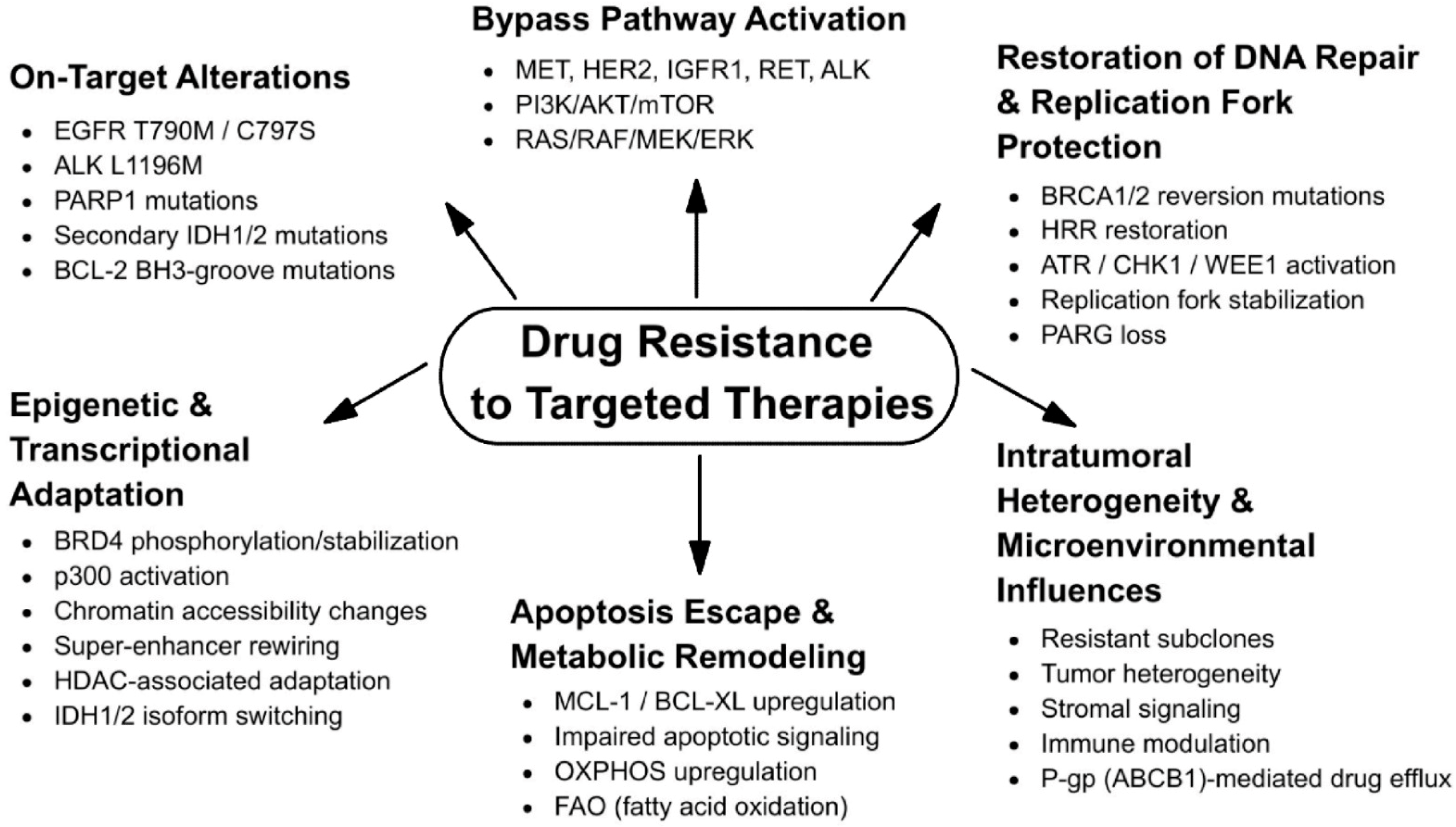Molecularly Targeted Therapies in Oncology: Mechanisms, Resistance, and ...