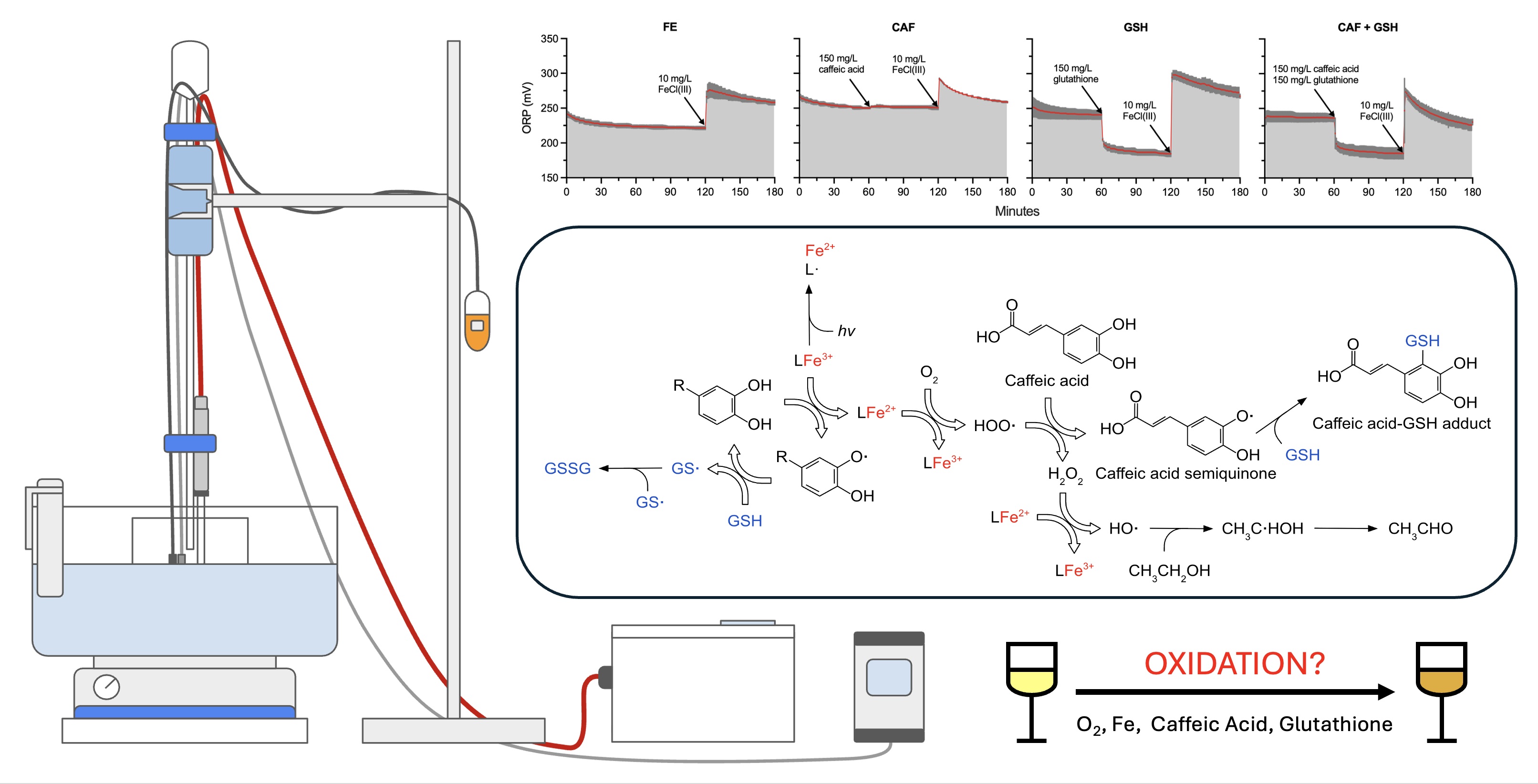 Caffeic Acid, Reduced Glutathione, and Ferric Iron Addition Effects on the Redox Potential of Model Wine Solutions