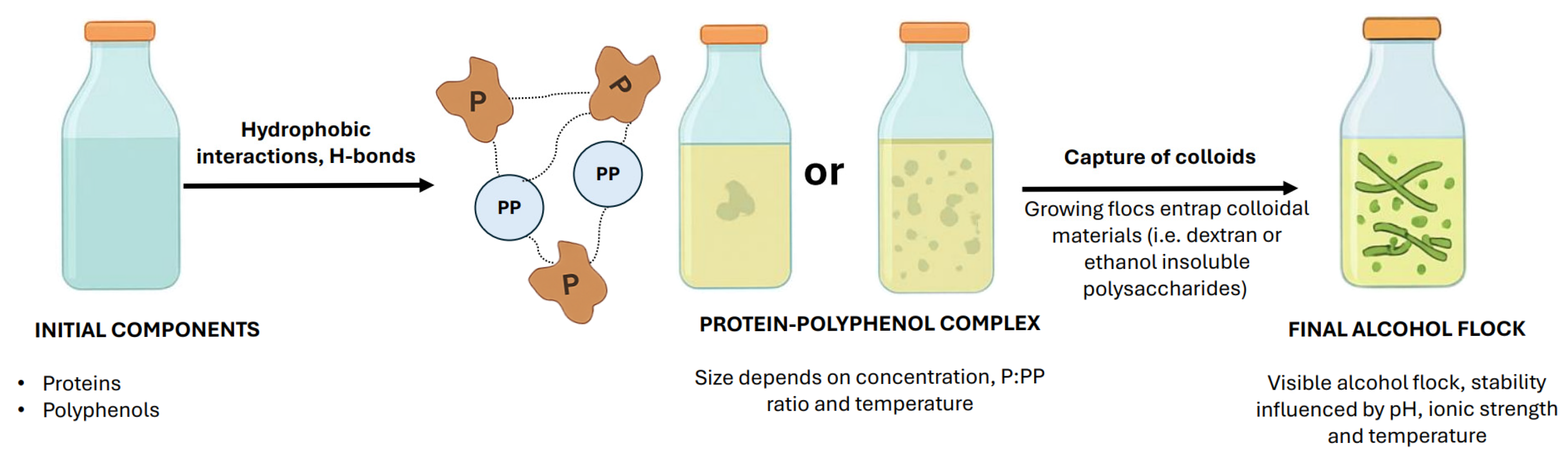 Chemical Precursors of Flocs in Sweetened Beverages: Mechanisms of ...