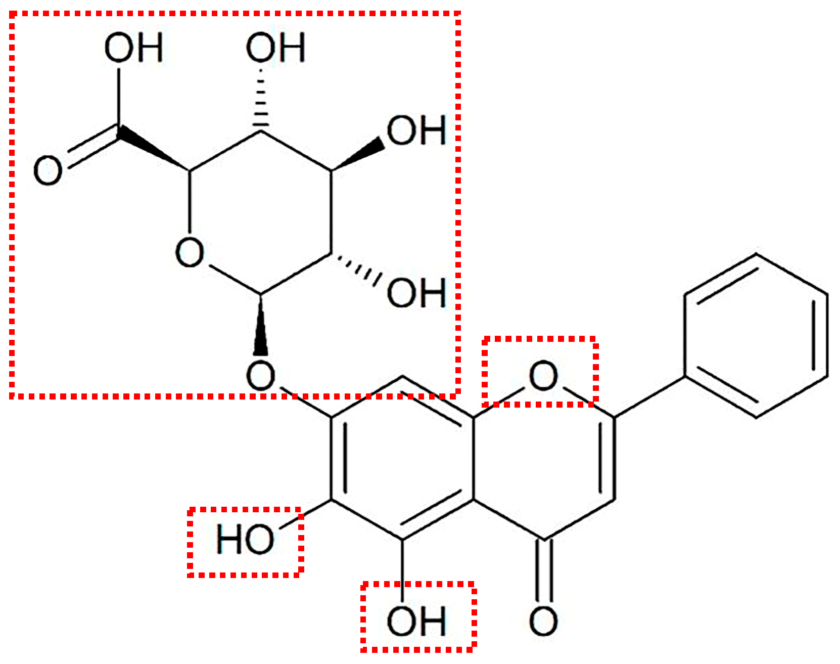 The Antibacterial Mechanism of Baicalin and Its Solubilization Strategy