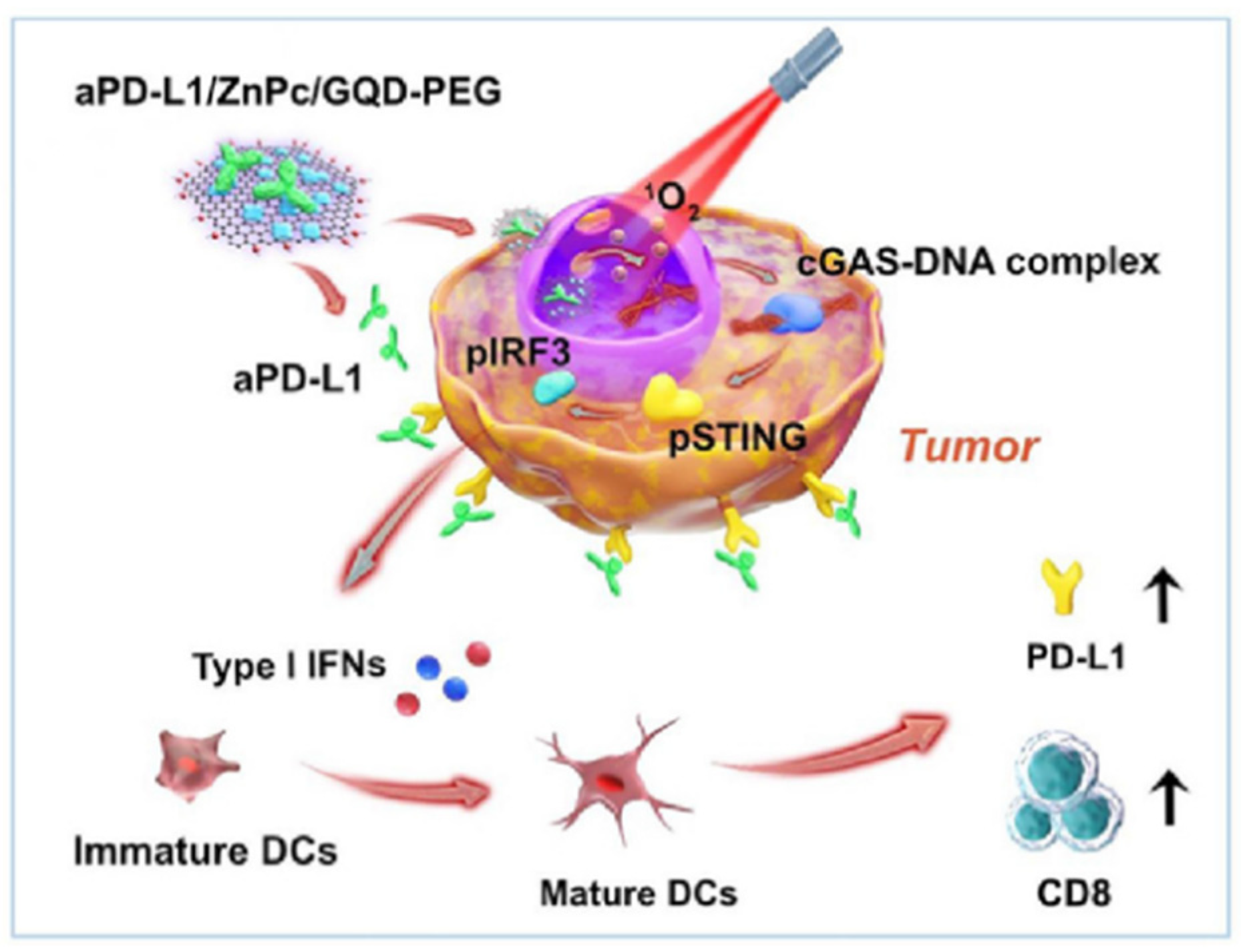 Nuclear-Targeted Drug Delivery Systems for Cancer Therapy: Advances ...